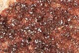 Glittering, Ruby Red Vanadinite Crystals on Barite - Morocco #278246-1